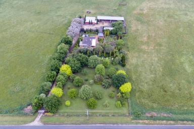Farm For Sale - VIC - Boisdale - 3860 - SOLID BRICK HOME AND SHEDDING IN THE HEART OF BOISDALE  (Image 2)
