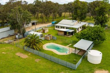 Farm Sold - NSW - Gulgong - 2852 - FAMILY LIVING ON A QUIET COUNTY LANE  (Image 2)