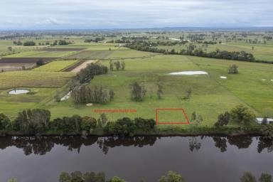 Farm Sold - NSW - Coldstream - 2462 - They don't get any better than this!  (Image 2)