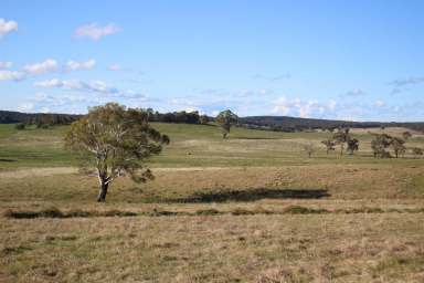 Farm Sold - NSW - Wingello - 2579 - Biodiversity at its Finest!  (Image 2)