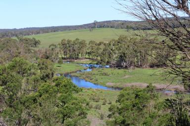 Farm Sold - NSW - Wingello - 2579 - Biodiversity at its Finest!  (Image 2)