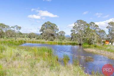 Farm Sold - NSW - Keinbah - 2320 - 25 acres - 800m from Lovedale  (Image 2)