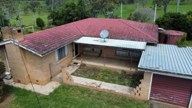 Farm Sold - QLD - Tansey - 4601 - MAGIC OUTLOOK  (Image 2)