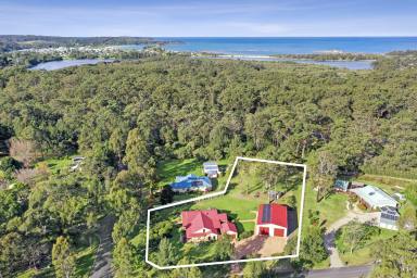 Farm Sold - NSW - Mossy Point - 2537 - OPEN HOME CANCELLED THIS WEEKEND 21/01/23  (Image 2)