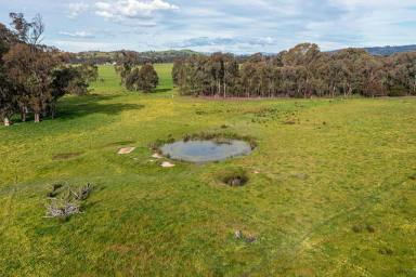 Farm Sold - VIC - Euroa - 3666 - A Well Located 274 Acre* Grazing Opportunity  (Image 2)