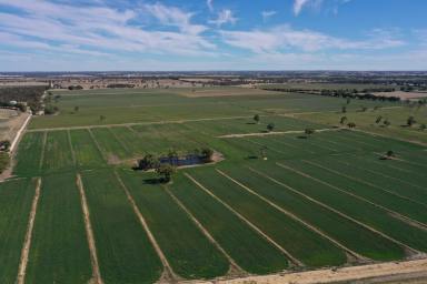 Farm Sold - SA - Wirrega - 5267 - Impressive Rural Property Investment with Lease  (Image 2)