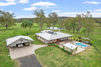 Farm Sold - NSW - Casino - 2470 - "SWANDALE" - 385 ACRE PROPERTY  (Image 2)