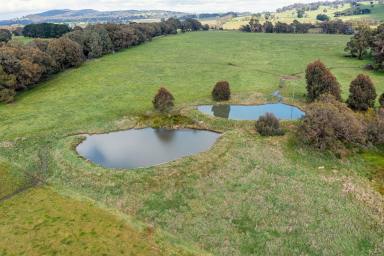 Farm Sold - VIC - Strathbogie - 3666 - An Outstanding Lifestyle Offering In The Strathbogie Tablelands  (Image 2)
