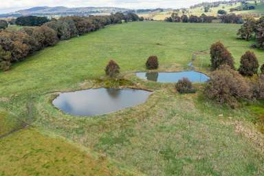 Farm Sold - VIC - Strathbogie - 3666 - An Outstanding Lifestyle Offering In The Strathbogie Tablelands  (Image 2)