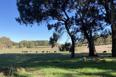 Farm Sold - VIC - Strathbogie - 3666 - An Outstanding Lifestyle Offering In The Strathbogie Tablelands  (Image 2)