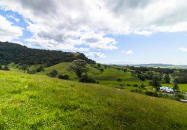 Farm For Sale - NSW - Jaspers Brush - 2535 - 'Bellevue'  (Image 2)