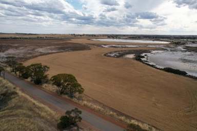 Farm Sold - WA - Quairading - 6383 - A Rural Dream                               96.25ha(237.7acres) or 97.43ha(240.6acres)  (Image 2)