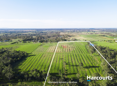 Farm For Sale - QLD - Electra - 4670 - Lifestyle Meets Convenience - 25 acres with water  (Image 2)