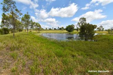 Farm For Sale - QLD - Electra - 4670 - Lifestyle Meets Convenience - Almost 30 acres with Water  (Image 2)