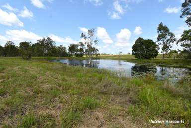 Farm For Sale - QLD - Electra - 4670 - Lifestyle Meets Convenience - Almost 30 acres with Water  (Image 2)