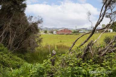 Farm For Sale - TAS - Boat Harbour - 7321 - Your Ticket To Escape The Rat Race!  (Image 2)