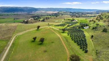 Farm Sold - NSW - Upper Manilla - 2346 - "Sharawaa" Fantastic Starter Block  (Image 2)