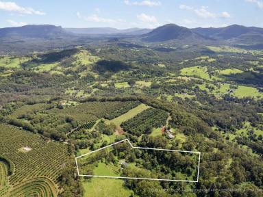 Farm Sold - NSW - Mountain Top - 2480 - Mountain Top Retreat - Wildlife Abundant  (Image 2)