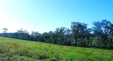 Farm Sold - QLD - Good Night - 4671 - DROUGHTPROOF YOURSELF - 320 ACRES OF QUALITY GRAZING WITH BURNETT RIVER FRONTAGE  (Image 2)