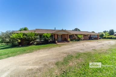 Farm For Sale - VIC - Lucknow - 3875 - Your new Lifestyle awaits.  (Image 2)