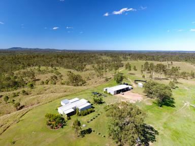 Farm Sold - QLD - Gin Gin - 4671 - Sizable Breeder Property, Safe Rainfall, Great Location  (Image 2)