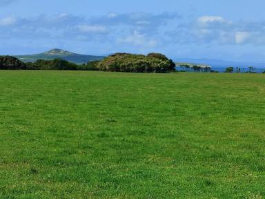 Farm Sold - TAS - Lady Barron - 7255 - From The Paddock To the Sea.  (Image 2)