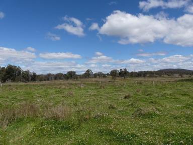 Farm Sold - QLD - Mount Tully - 4380 - Prime Stanthorpe location  (Image 2)