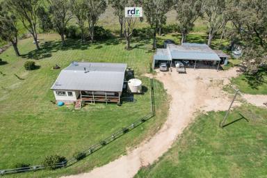 Farm For Sale - NSW - Inverell - 2360 - CALLICOMA  (Image 2)