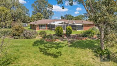 Farm Sold - VIC - Echuca - 3564 - Tranquil rural living on 1 hectare (2.5 acres approx.)  (Image 2)