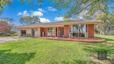 Farm Sold - VIC - Echuca - 3564 - Tranquil rural living on 1 hectare (2.5 acres approx.)  (Image 2)