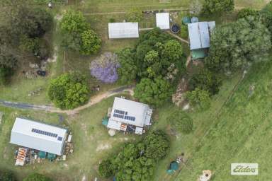 Farm Sold - QLD - Howard - 4659 - FARMSTAY OR HOMESTEAD--200 ACRE OFF-GRID FARM!  (Image 2)