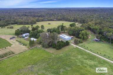 Farm Sold - QLD - Howard - 4659 - FARMSTAY OR HOMESTEAD--200 ACRE OFF-GRID FARM!  (Image 2)