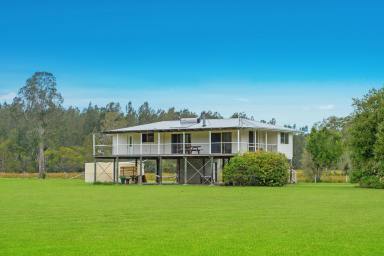 Farm Sold - NSW - Crescent Head - 2440 - Wholesome Australian Lifestyle-10 Minutes to World Class Surf  (Image 2)
