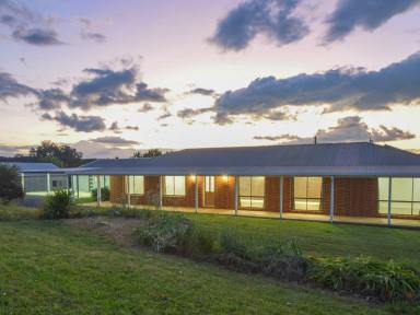 Farm Sold - NSW - Young - 2594 - Fully Renovated Family Home That is Sure To Impress  (Image 2)