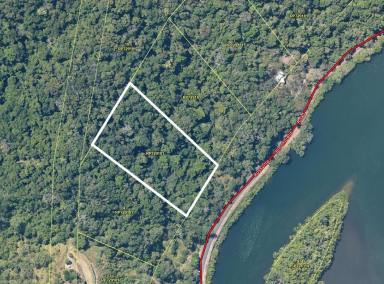 Farm Sold - QLD - Bloomfield - 4895 - Overlooking the beautiful, remote, Bloomfield  River  (Image 2)