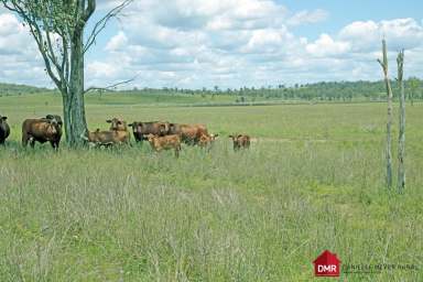 Farm Sold - QLD - Eidsvold East - 4627 - "MAKOOLA", EIDSVOLD GRAZING - IDEAL BACKGROUNDING  (Image 2)