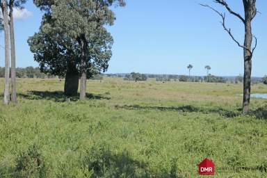 Farm Sold - QLD - Eidsvold East - 4627 - "MAKOOLA", EIDSVOLD GRAZING - IDEAL BACKGROUNDING  (Image 2)