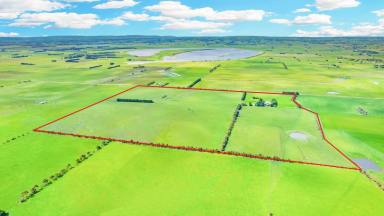 Farm Sold - VIC - Irrewarra - 3249 - ATTRACTIVE QUALITY COLAC DISTRICT PROPERTY  (Image 2)