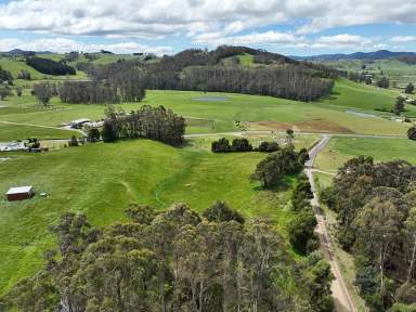 Farm Sold - TAS - Claude Road - 7306 - When the Mountain Calls  (Image 2)