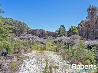 Farm Sold - TAS - Boat Harbour - 7321 - Five Minutes from Tea Tree to Sea  (Image 2)