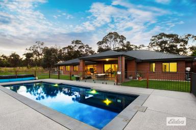 Farm Sold - VIC - Longlea - 3551 - LARGE & LUXURIOUS CONTEMPORARY HOME ON 10 ACRES WITH TOWN CONVENIENCE AND A COUNTRY LIFESTYLE  (Image 2)