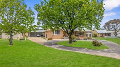 Farm Sold - NSW - Lidsdale - 2790 - The Meadows - Four Bedroom Home on 20* acres  (Image 2)