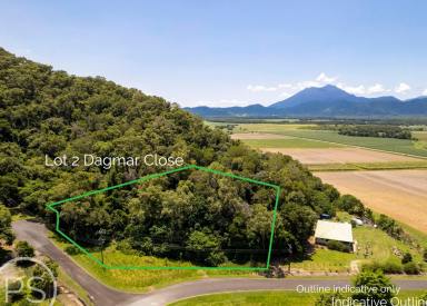 Farm Sold - QLD - Daintree - 4873 - BUILD DREAM HOME OR LAND BANK  (Image 2)