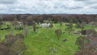 Farm Sold - NSW - Mount Mitchell - 2365 - HIGH COUNTRY GRAZING & LIFESTYLE  (Image 2)