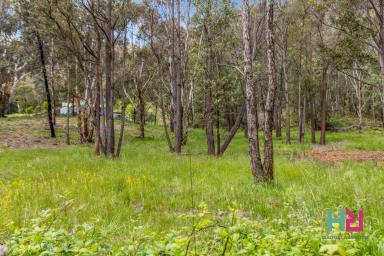 Farm Sold - NSW - Little Hartley - 2790 - Build a brand new home (STCA).  (Image 2)