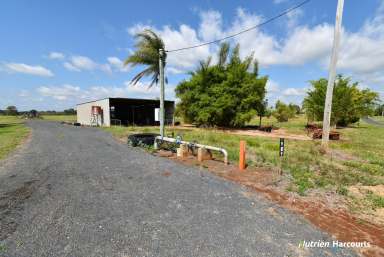 Farm For Sale - QLD - Electra - 4670 - 20 Acres just 20 Minutes to Bundaberg  (Image 2)