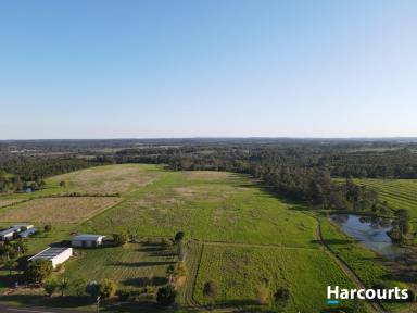 Farm For Sale - QLD - Electra - 4670 - 25 Acres just 20 Minutes to Bundaberg  (Image 2)