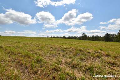 Farm For Sale - QLD - Electra - 4670 - Lifestyle Meets Convenience - 10 Acres  (Image 2)