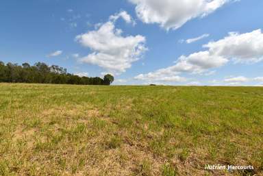 Farm For Sale - QLD - Electra - 4670 - Lifestyle Meets Convenience - 10 Acres  (Image 2)