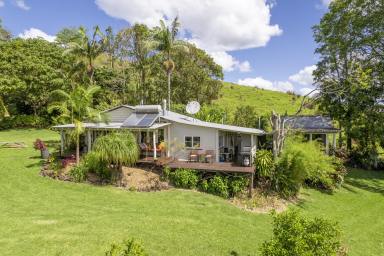 Farm Sold - NSW - The Channon - 2480 - Private Oasis, Surrounding Views & A Flourishing Food Garden  (Image 2)